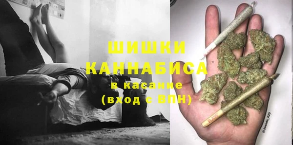 спайс Баксан