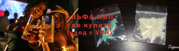 спайс Баксан