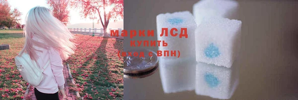 спайс Баксан
